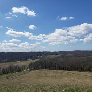 Meet your Posher, Carissa